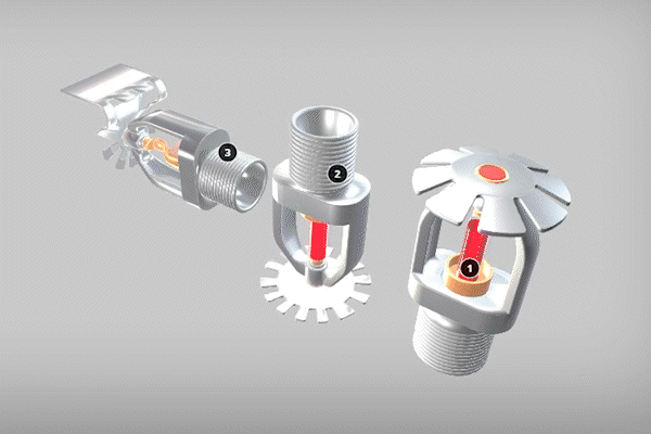 Animacje 2D i&nbsp;3D