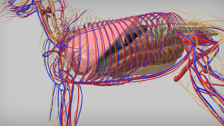 Rolnictwo i&nbsp;leśnictwo